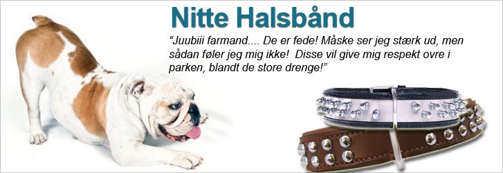 Nitte Halsbånd - Hooked4Pets