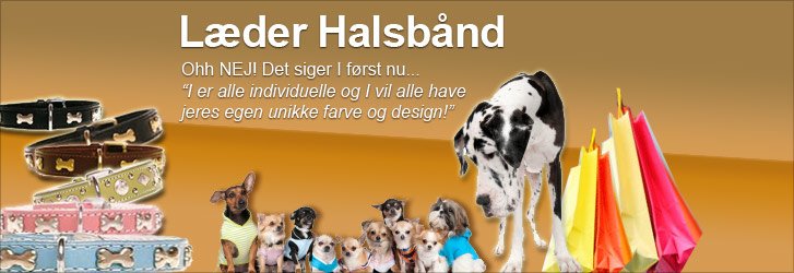 Læder Halsbånd - Royal Tough og Blinking Bones fra Hooked4Pets