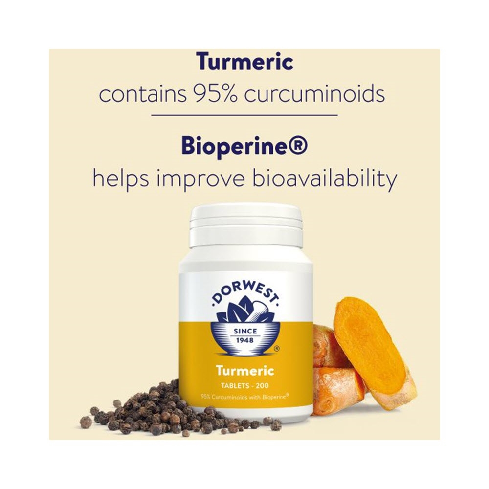Dorwest Tumeric Tabletter Gurkemejerod Til Din Hund