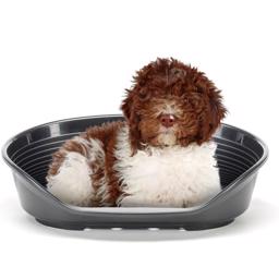 Siesta DeLuxe Hunde Plastseng Til Udendørs & Indendørs GREY