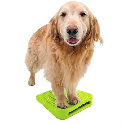 FitPaws Dog Balance Ramp Til Genoptræning & Styrke LIME