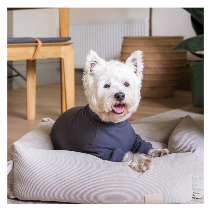Fuzzyard Pyjamas Til Hunden Design Life Soft Touch Slate Grey