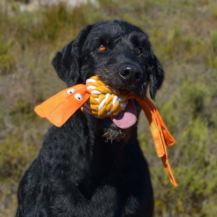 Rogz Cowboyz Knudebold til Hunden i Orange