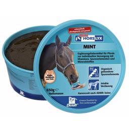 Horslyx Mini Lick Mint Slik TIl Hesten