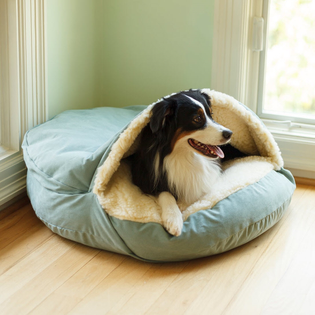 Лежанка pets. Лежак Luxury cozy Dog. Cozy Bed лежанка. Лежак для собак cozy Dog Cave. Pet Bed лежанка для собак.