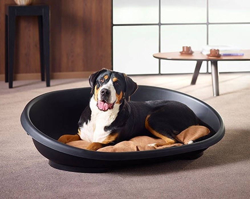 yderligere pause Banzai PlastSeng SnooZe Flot Designer Plastseng