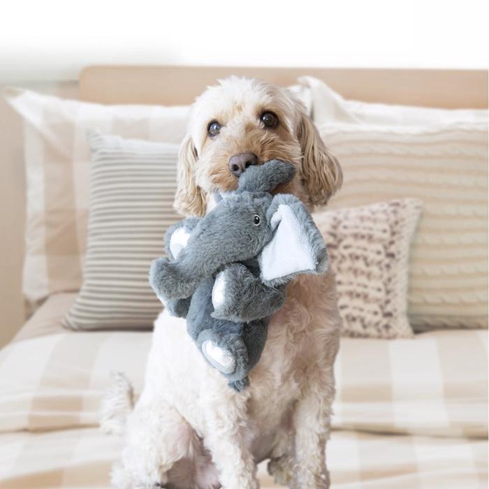 KONG Comfort Kiddos X-Small Elefant