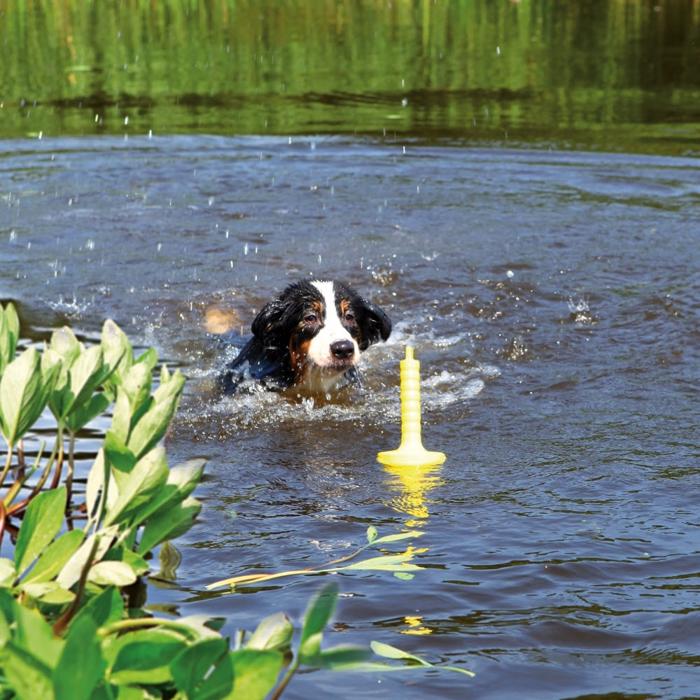 DogActivity MotAqua Hundetræning i Vand Gul