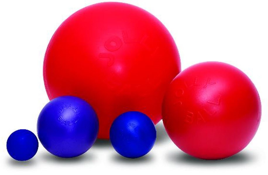jolly ball hund