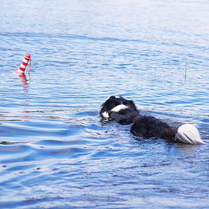 Rogz Lighthouse Vandlegetøj til hunde