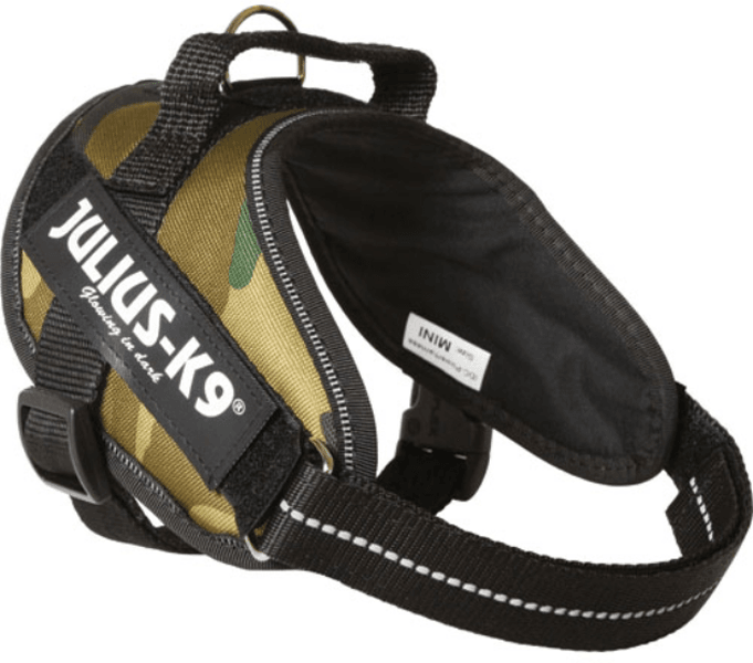 Julius K9 Hunde IDC Selen Camouflage