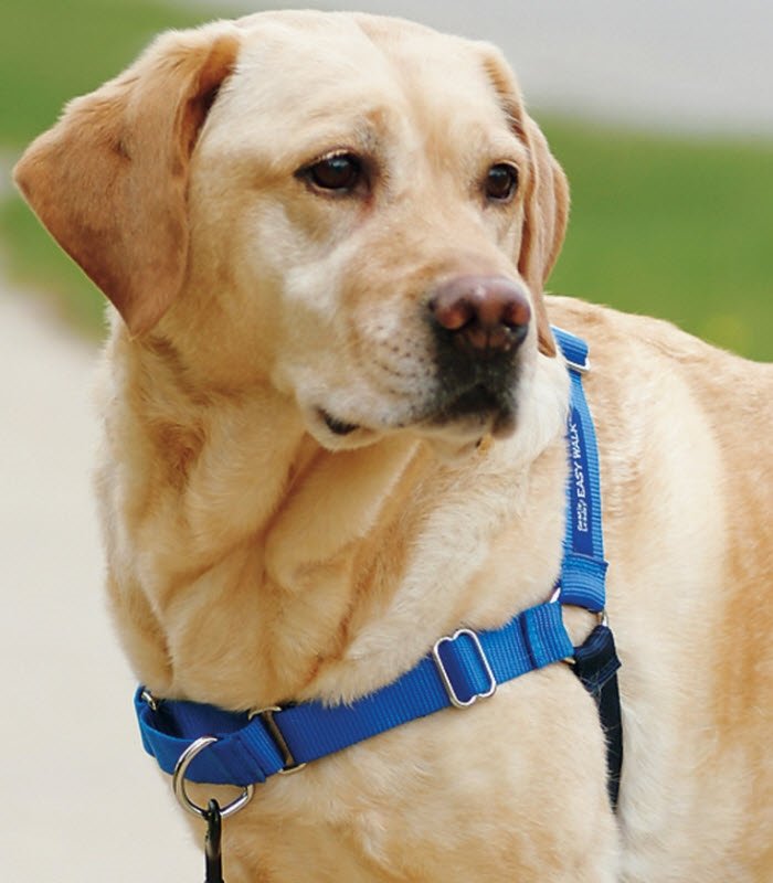 Hunde Sele EASY WALK Gå Pænt I