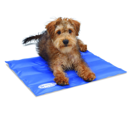 5 Koeltips voor je hond - OutDoor