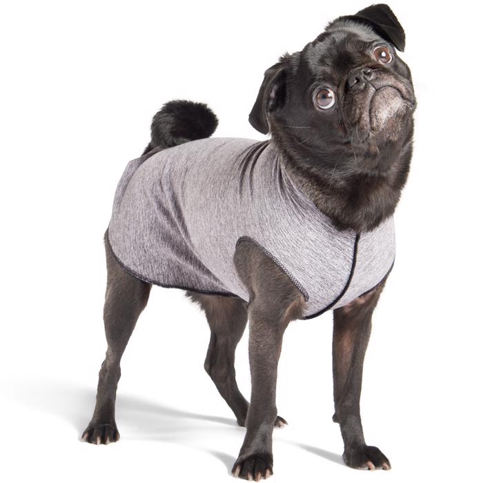 Sol Beskyttelse til hunde GoldPaw Sol jersey grey