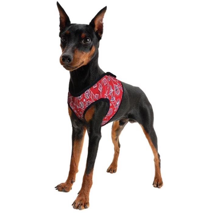 Hunde Køle Sele Comfy Design Red Western