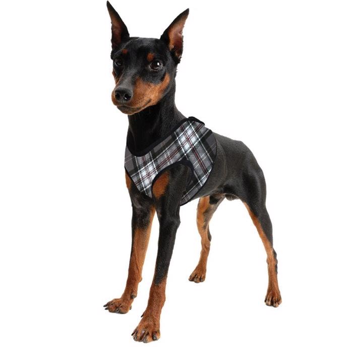 Hunde Køle Sele Comfy Design Scottish Grey