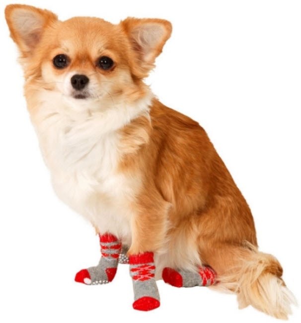doggy%20socks%20red%20grey%20with%20dog-