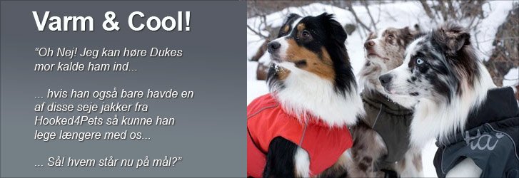 Hundetøj. til Tøj Hundebeklædning