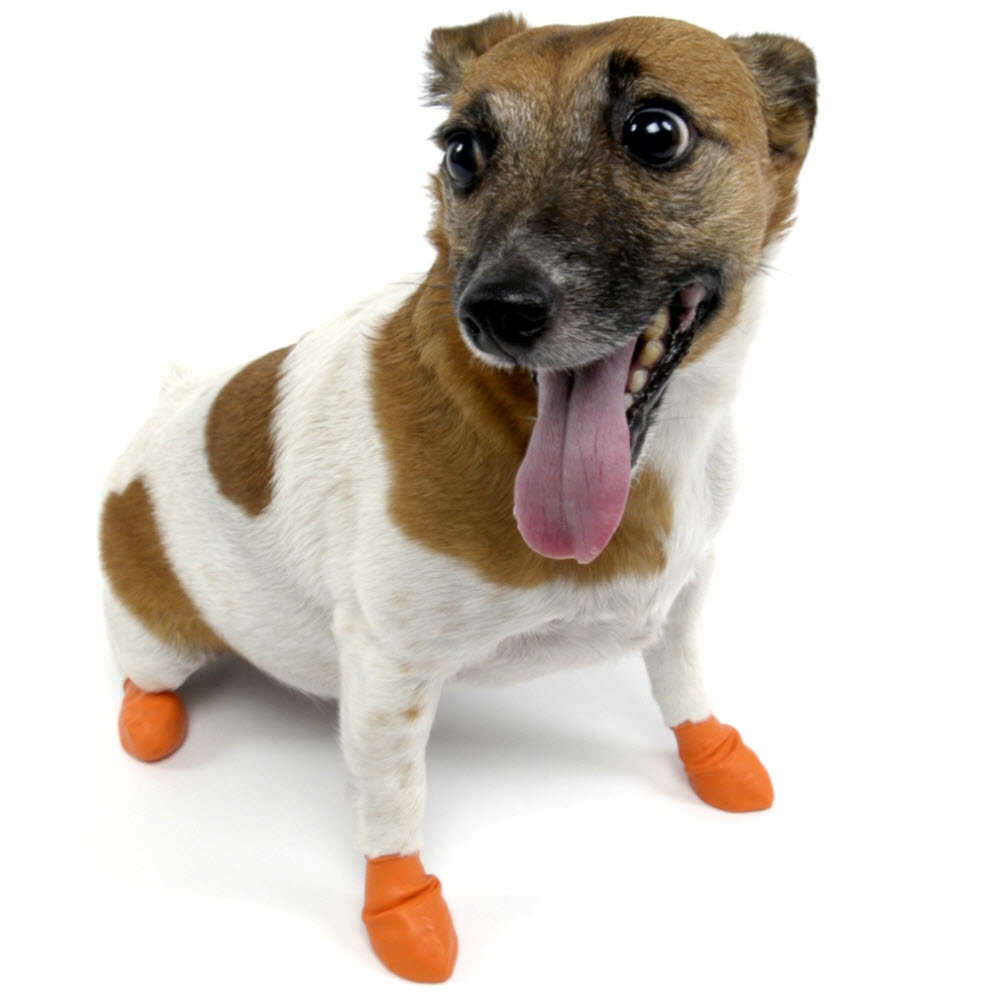 Pawz Sko til hunde 5,1 ORANGE XSmall