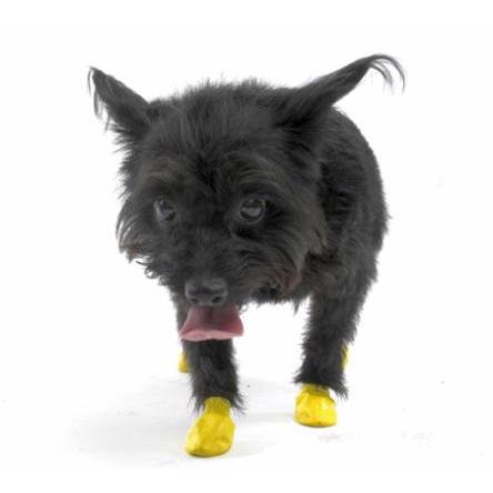 Pawz Dog Boots slidstærke Flexible Gummi Hundesko XXS Yellow