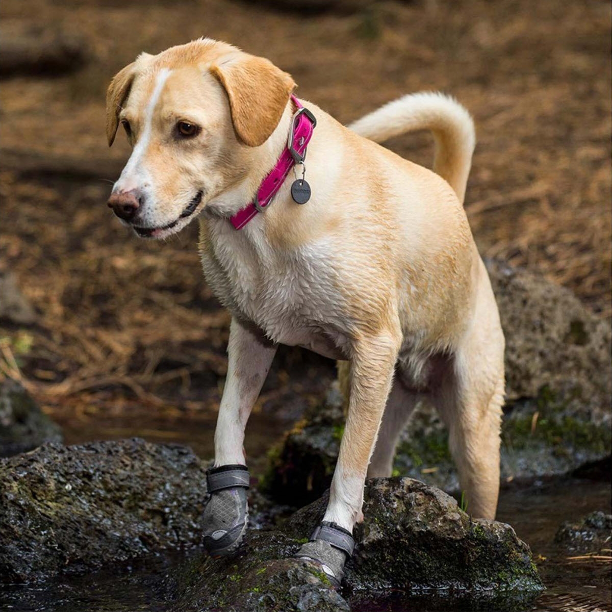 Ruffwear Grip Trex Hundesko 2 stk i pakken