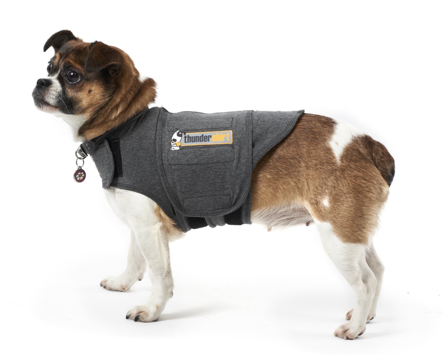 the thunder shirt