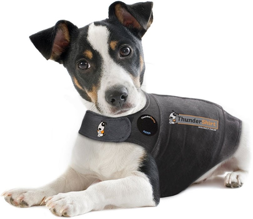 Thundershirt Special beklædning GRÅ