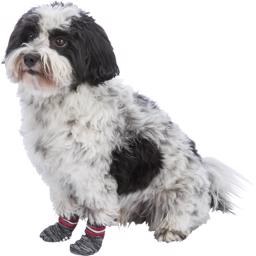 Grå smarte hunde sokker