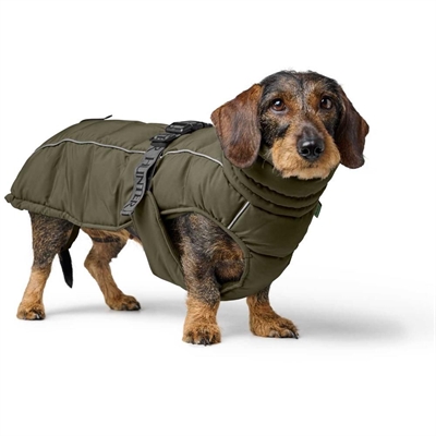 Hunter Paxson Hundejakke LangeRacer & Gravhund Oliven