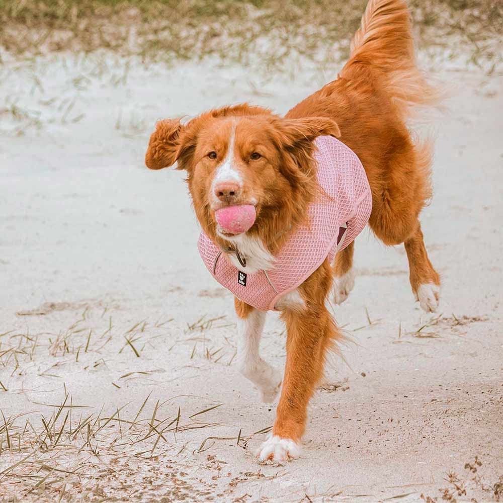 Hurtta Cooling Wrap koelvest voor honden, zomerkoelvest, aquamarijn lichtblauw, 45-55 cm