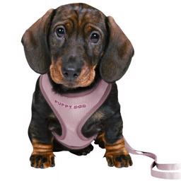 Trixie Hvalpe Begynder Sæt Med Sele & Line LILLA Small/Medium