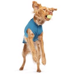 GoldPaw Stretch Fleece Pullover Hundetrøje blå