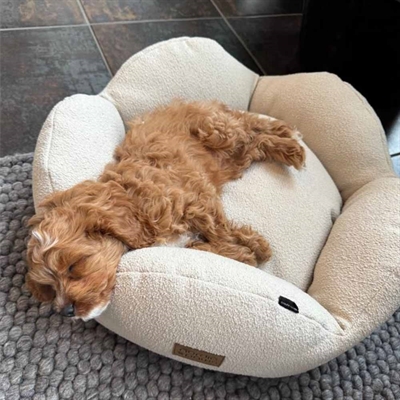 Hundeseng beige