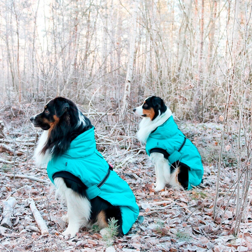 Vinterdækken Tin Hund Isa Turkis