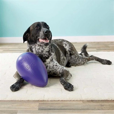 Jollypets