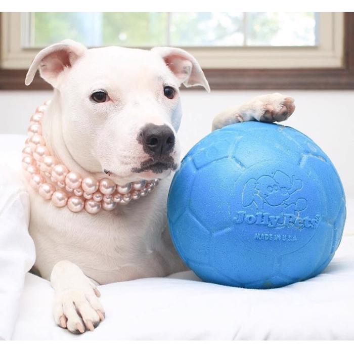 Jolly Pets Soccer Ball Ocean Blue Den Originale Hunde Fodbold