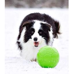 Jolly Pets Soccer Ball Apple Green Den Originale Hunde Fodbold