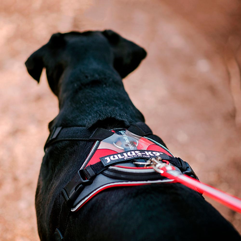 julius k9 guard your joints