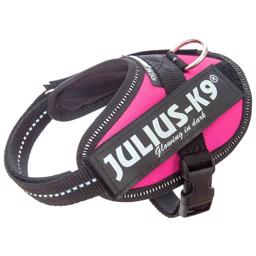 Julius K9 Hunde IDC Selen Mørke Pink