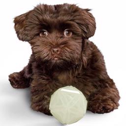 Hunter Hundelegetøj Den Selvlysende Legebold Model Kisa