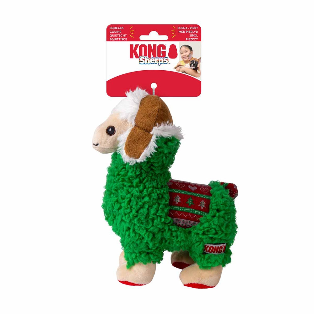 Kong holiday lama