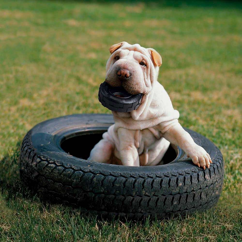 helt seriøst Flock stout KONG Extreme Traxx Tires Aktivering Af Hunden Med Sjovt Dæk