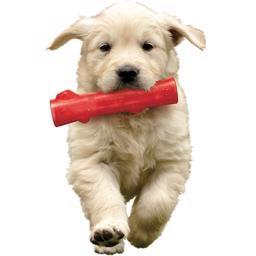 KONG Squeezz Stick kastelegetøj til din hund