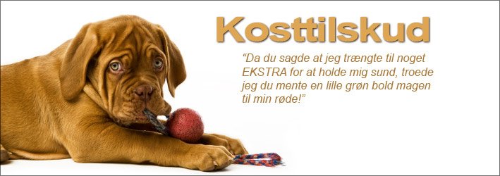 Kosttilskud Hunde kosttilskud - Hundetilskud