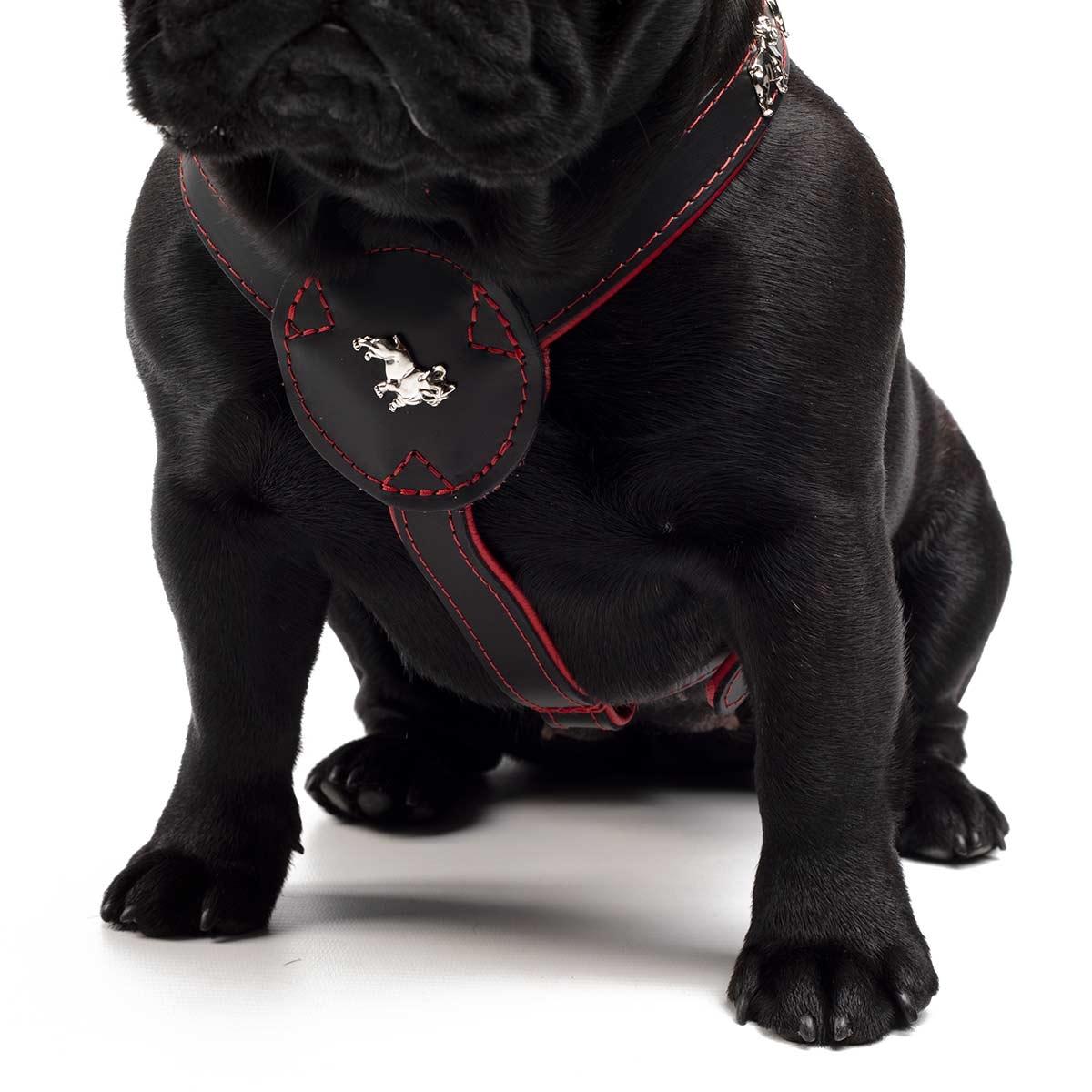 Læder Sele Til Fransk Bulldog Magic Frenchie Model Sort Rød