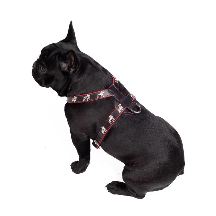 Læder Sele Til Fransk Bulldog Magic Frenchie Model Sort Rød