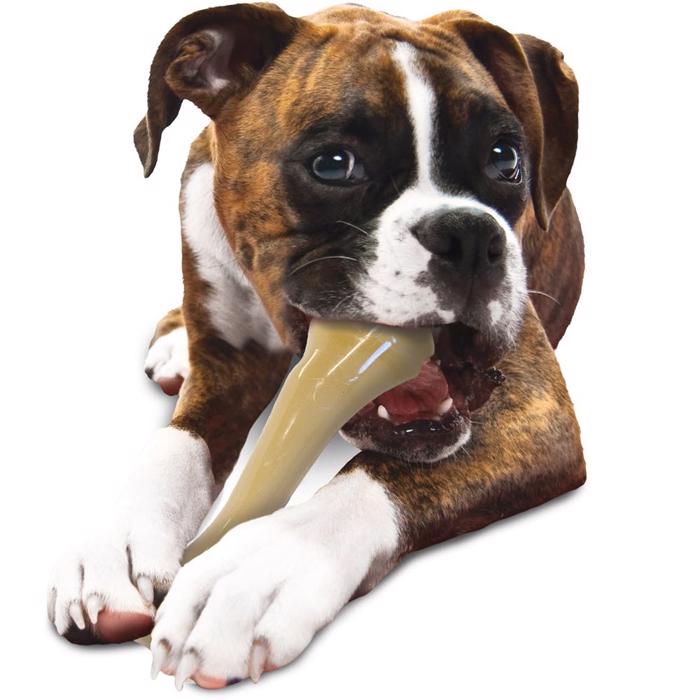 Nylabone Dura Chew Monster Bone XXL med Kyllingesmag