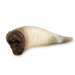 Snack It Naturlige Tørrede Oksehorn 500g