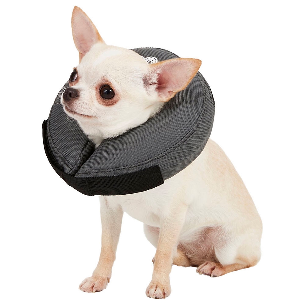  Top tilbehør, du skal have, når du har hund eller kat 