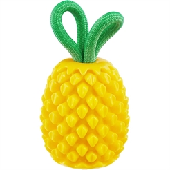 Outward Hound Dental Pinapple med Frugtduft